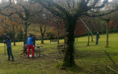 Altzasu elkarteko AUZOLANA